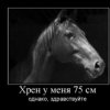 Аватар: Хам Ленгвинов