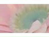 Анна Быкова | Череповец