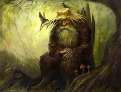 Segu Segu | Киев