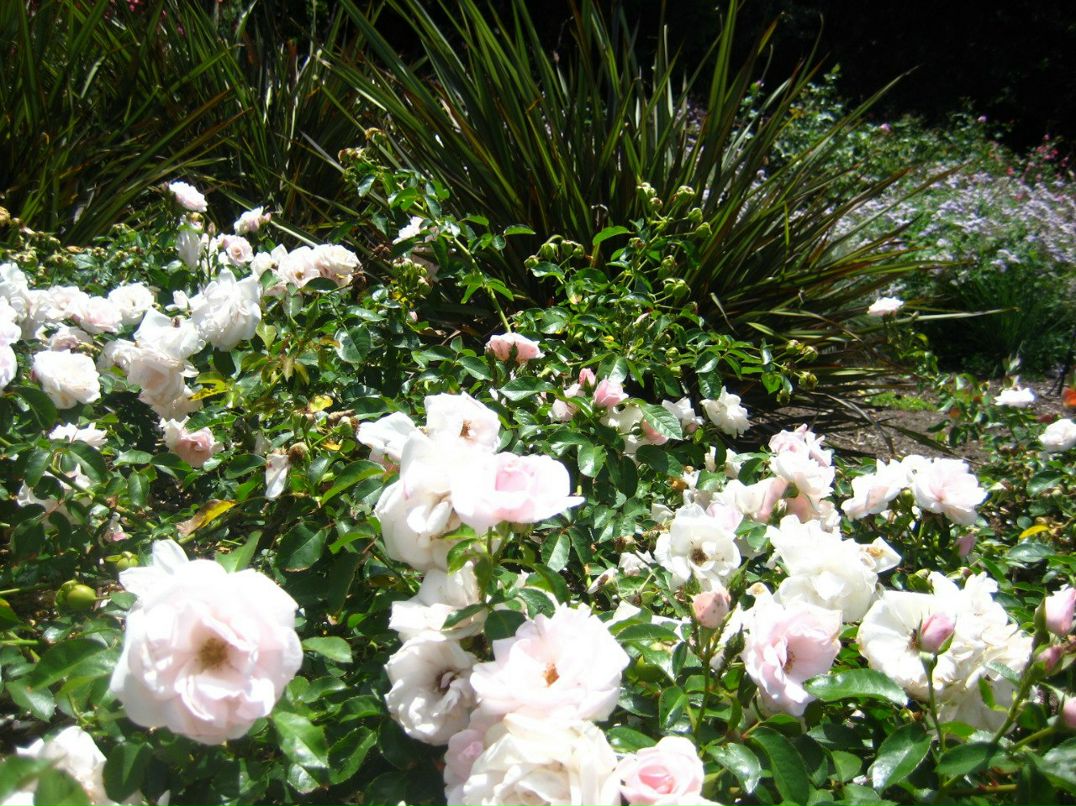 Tatiana Bobyleva | Санкт-Петербург