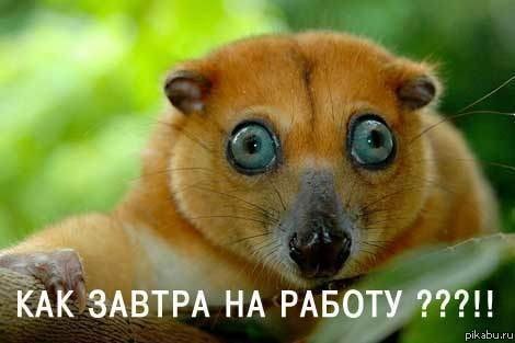 Лариса Голова | Уфа