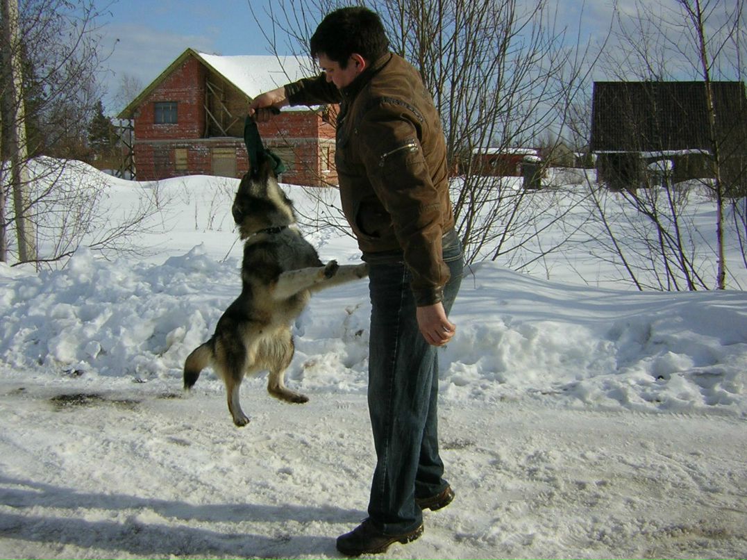 Серёга Корниенко | Санкт-Петербург