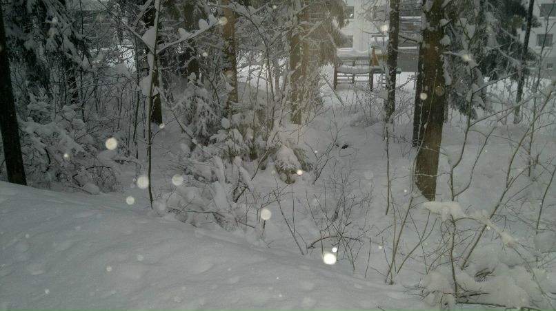 Дамир Ахметшин | Tampere