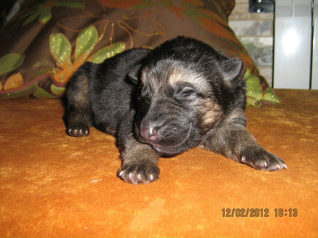 Аида Ахметшина | Ижевск