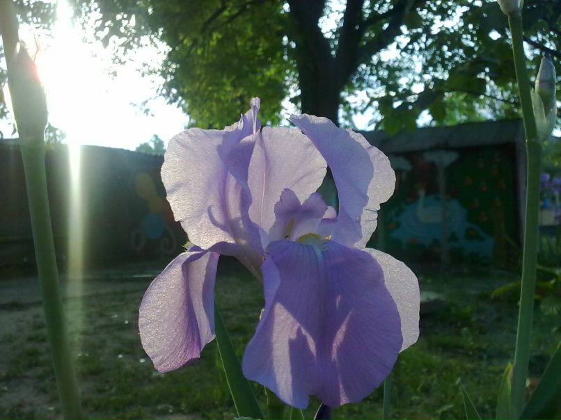 Olya Burjanova | Кропивницкий / Кировоград