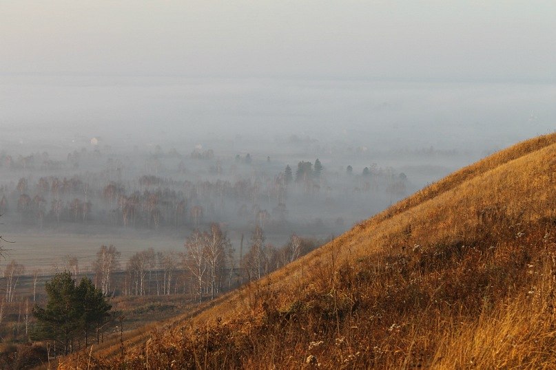 Елена Шуклина | Северск