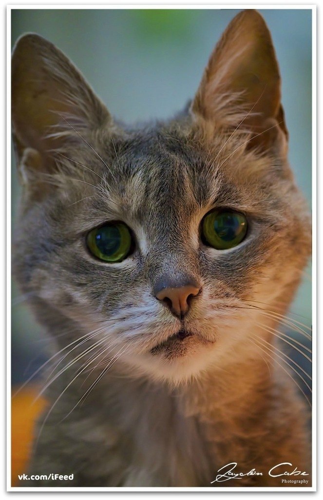 Кирилл Ситдиков | Пермь