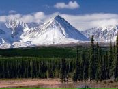 №10 Мехман Алиев 06.07: профиль, фото, статус - ВКонтакте