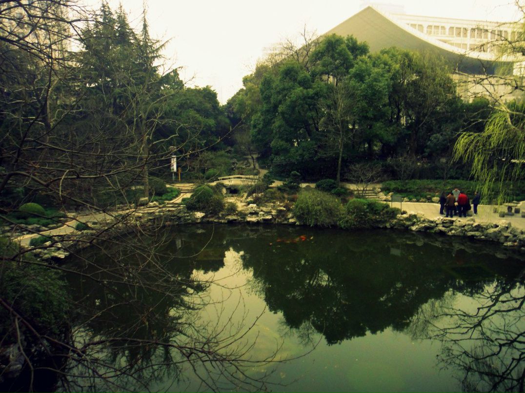 Таня Шулькина | Bat Yam