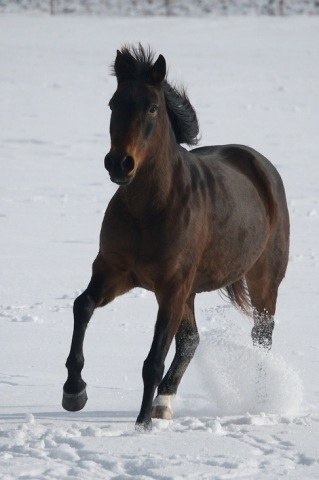 Татьяна Кондратенко | Москва