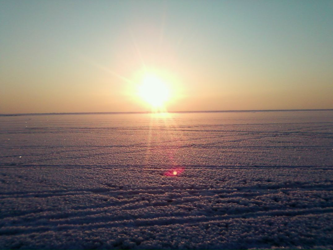 Владимир Мамаев | Ильинский