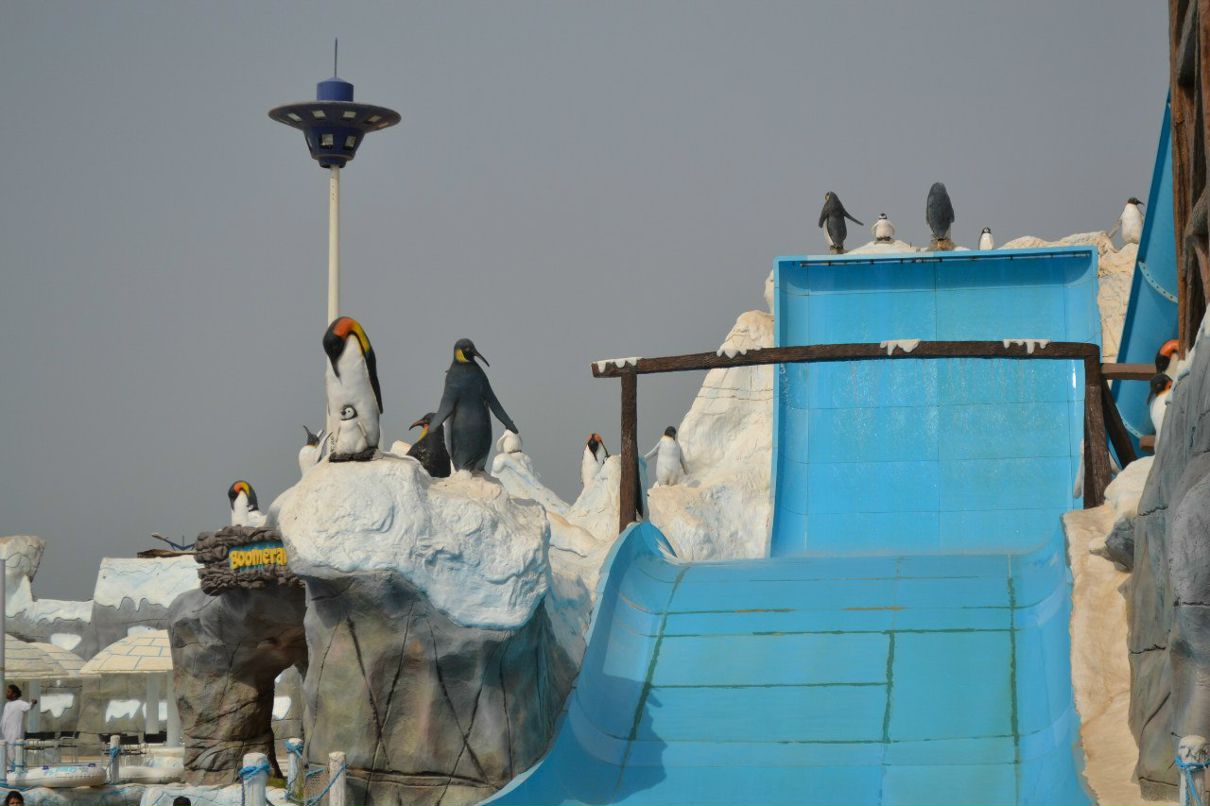 Мария Черепович | Минск