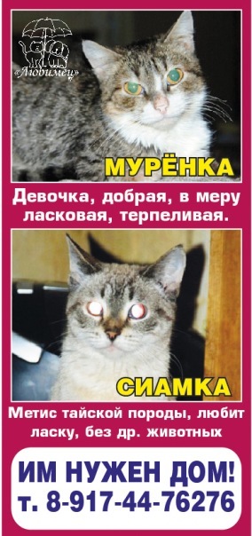 №11, Анастасия Хуснутдинова №11, Анастасия Хуснутдинова