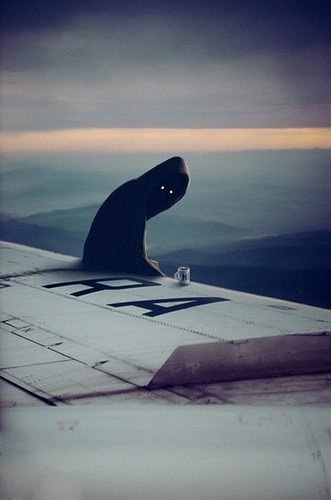 Катерина Цой () | Казань