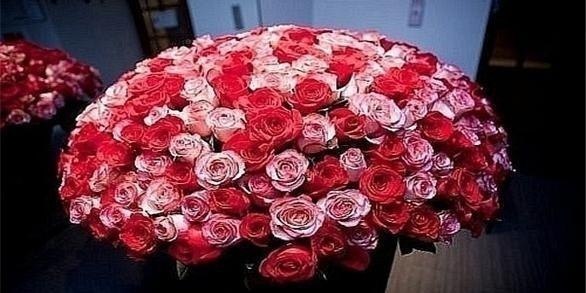 №104, Ольга Никитина, Николаев №104, Ольга Никитина, Николаев