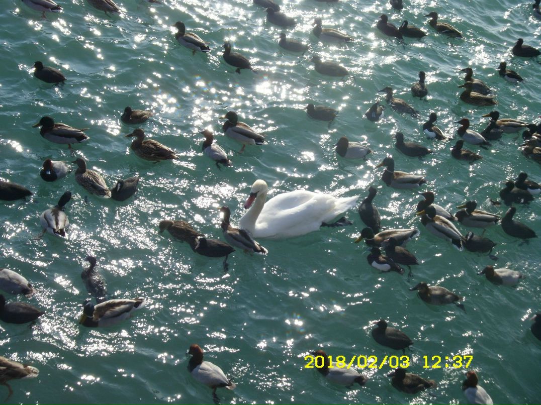 Федор Хмыров | Мариуполь