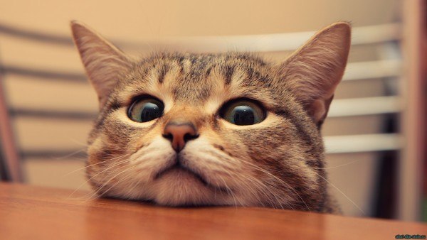 Ирина Ефремова | Warszawa