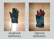 Фотография Анастасия Коптева