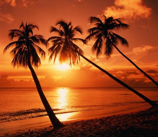 Алёна Вайс | Москва