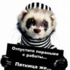 Аватар: Анастасия Ильина