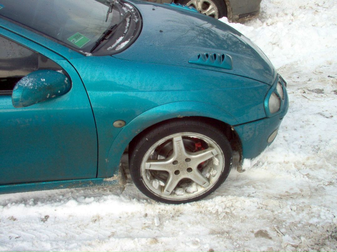 Николай Прошкин | Минск