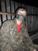 Алексей Полубенин фотография #32