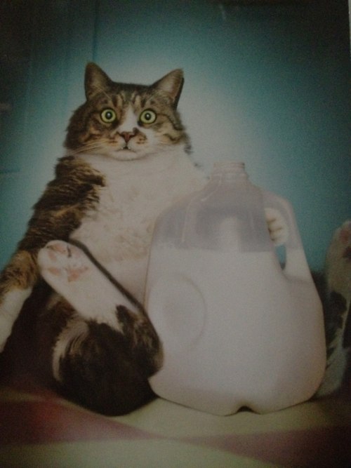 Иван Хрестин | Москва