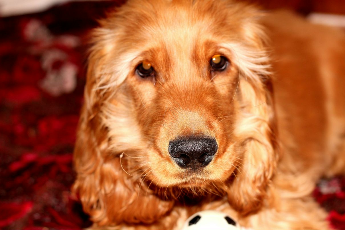 Екатерина Поплавская $reDISKOOOOO$ | Киев