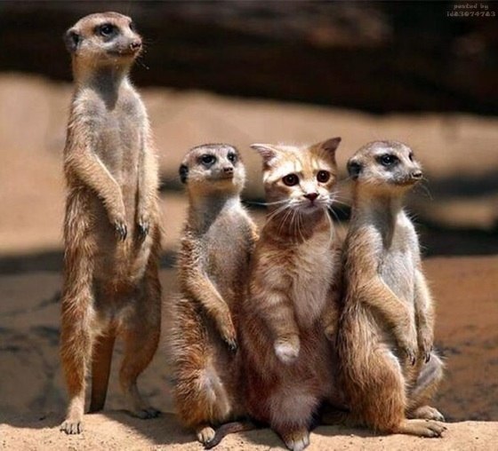 Максим Богдашкин | Вологда