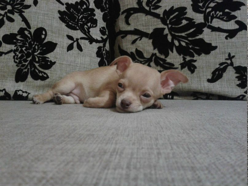 Наталья Медведская | Минск