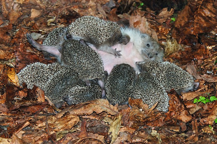 Екатерина Чернышова | Москва