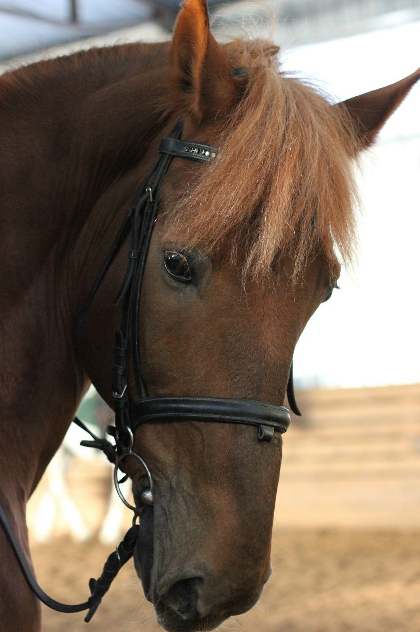 Анастасия Наливайко | Санкт-Петербург