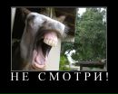 №5 Юрий Жарков : профиль, фото, статус - ВКонтакте