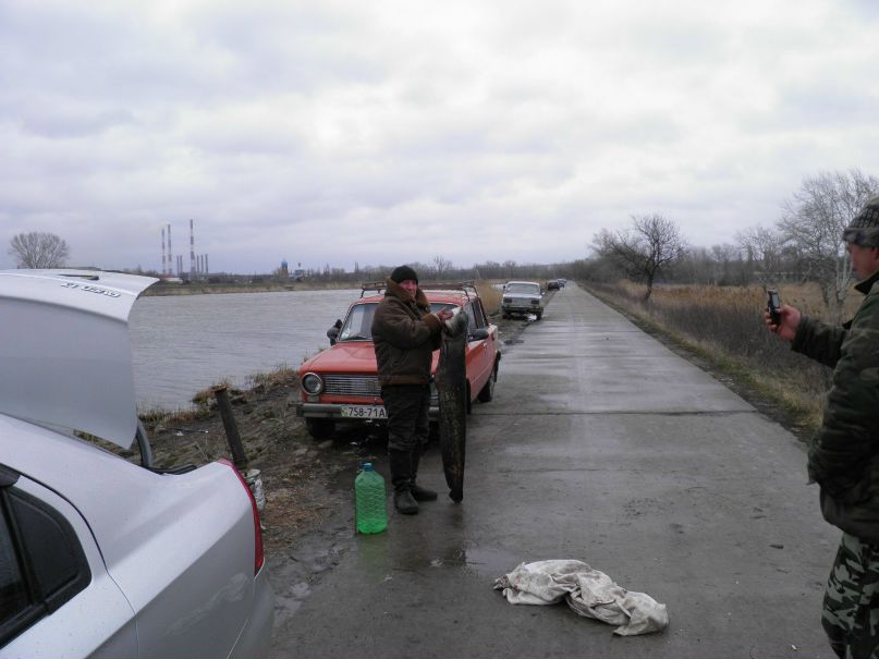 Андрей Шелегеда | Луганск