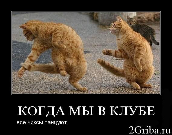 №94, Наталия Пантина, Вологда №94, Наталия Пантина, Вологда