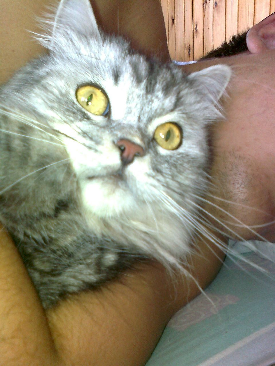 Вера Бакеева | Москва