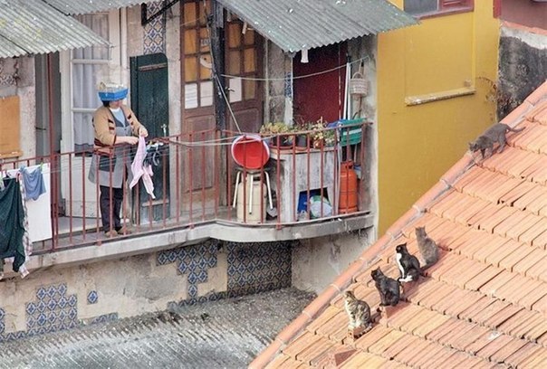 Max Morozkin | Волгоград