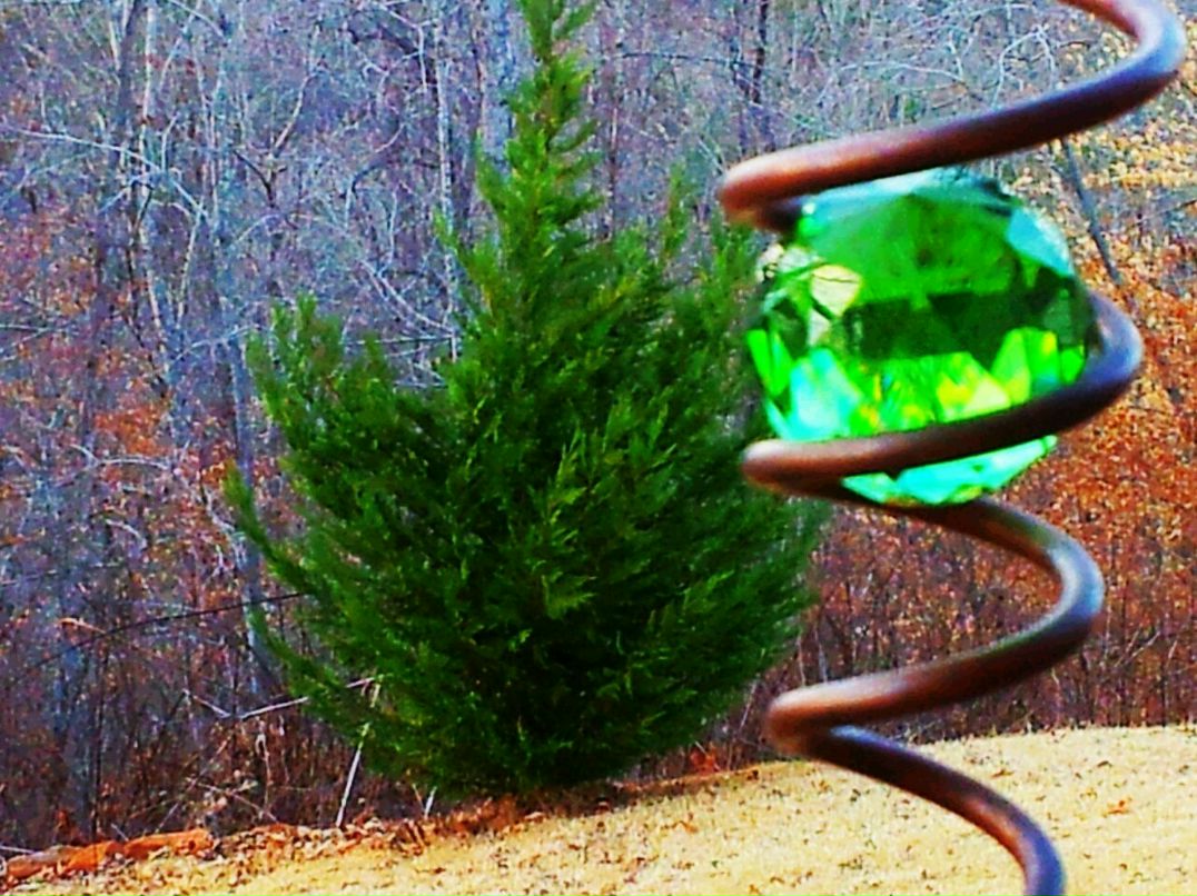 Dennis Snitskiy | Los Angeles