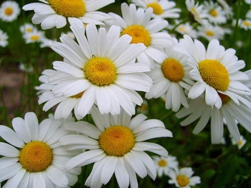 Анастасия Щеголькова | Самара