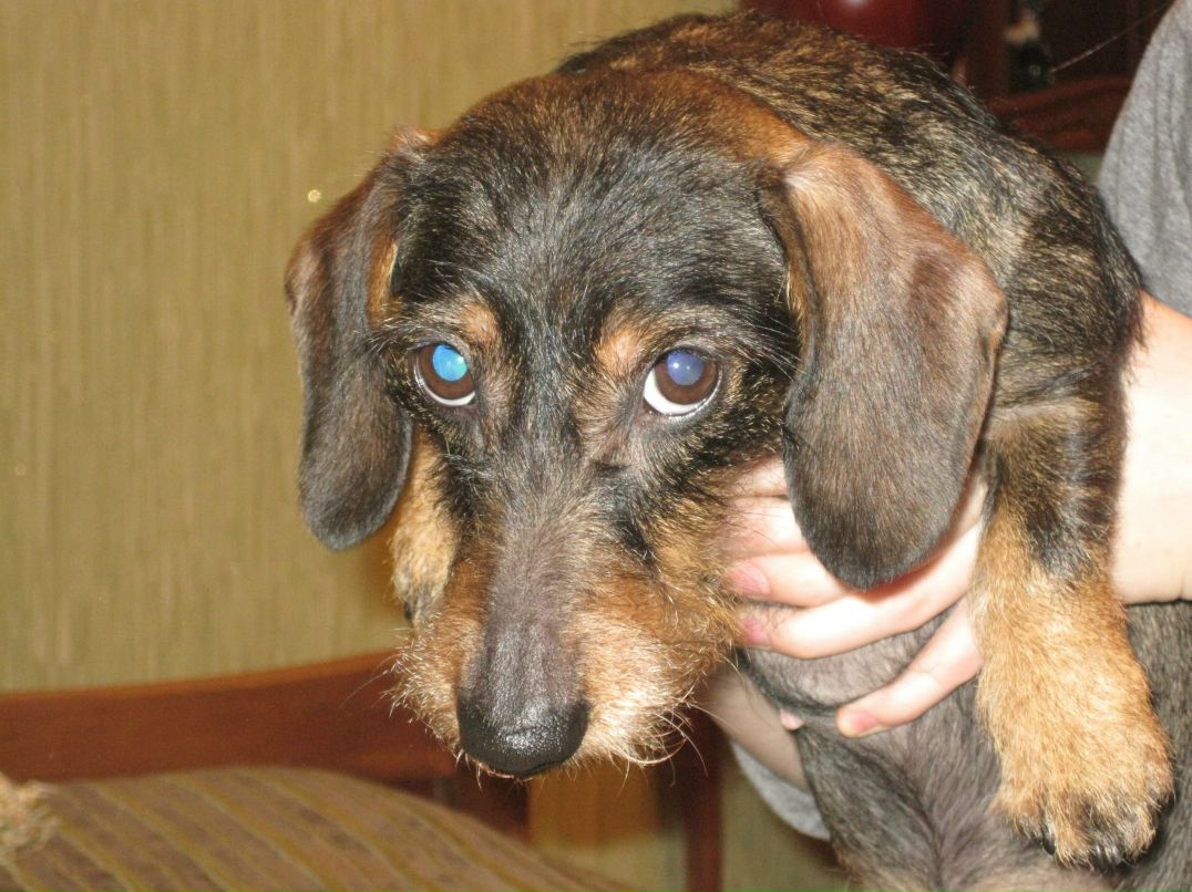 Ирина Баркалова | Санкт-Петербург