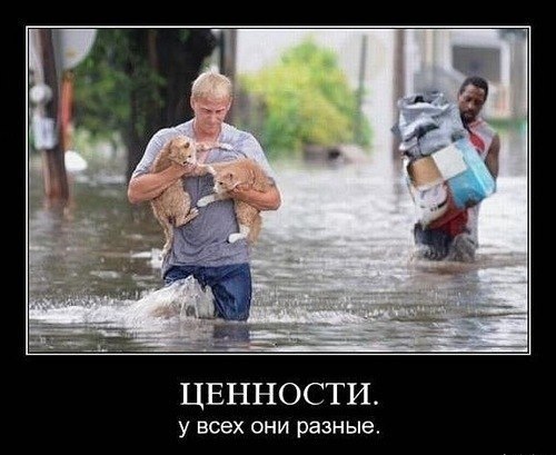 Зоя Берси | Санкт-Петербург