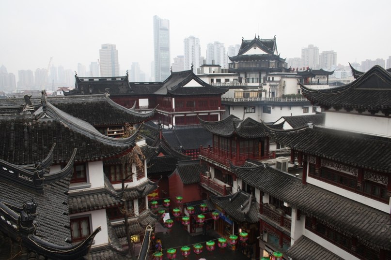 Анастасия Шапаренко | 