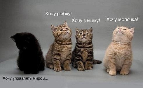 Маргарита Облогина | Houston