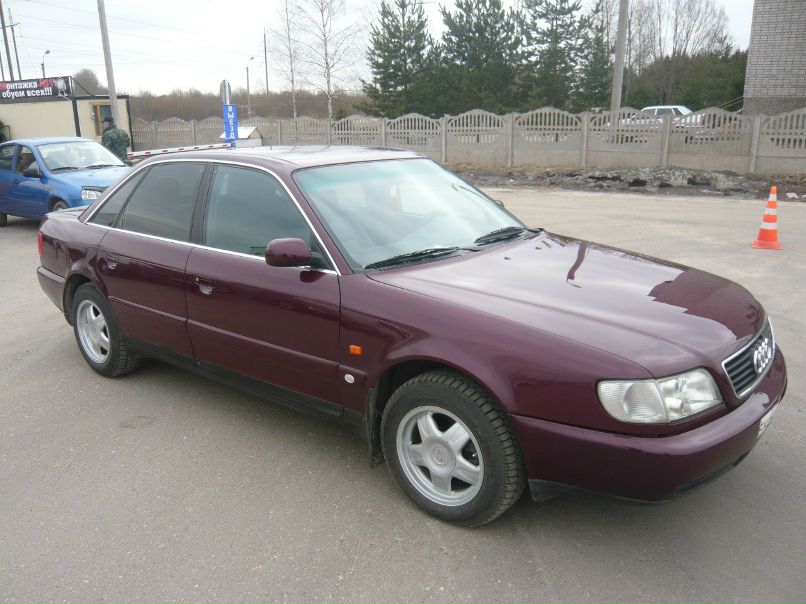 Слава Дмитриев | Псков