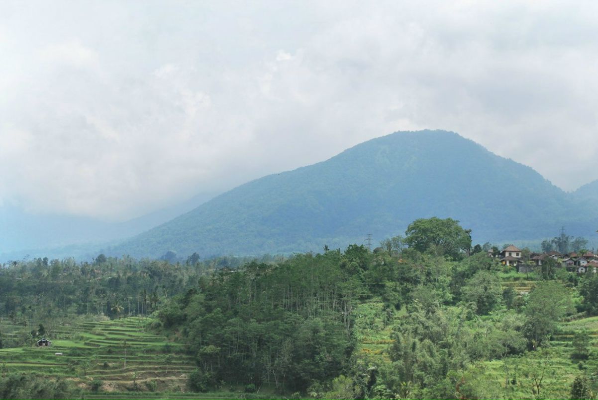 Наталья Эккарт | Солнечногорск