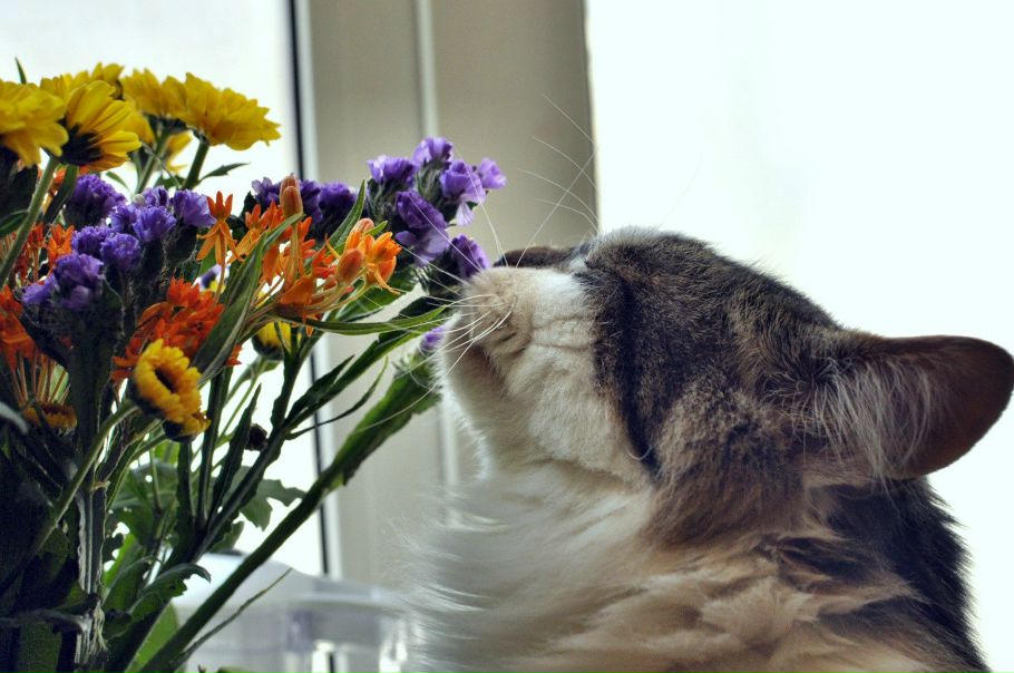 №8, Оксана Волкова №8, Оксана Волкова