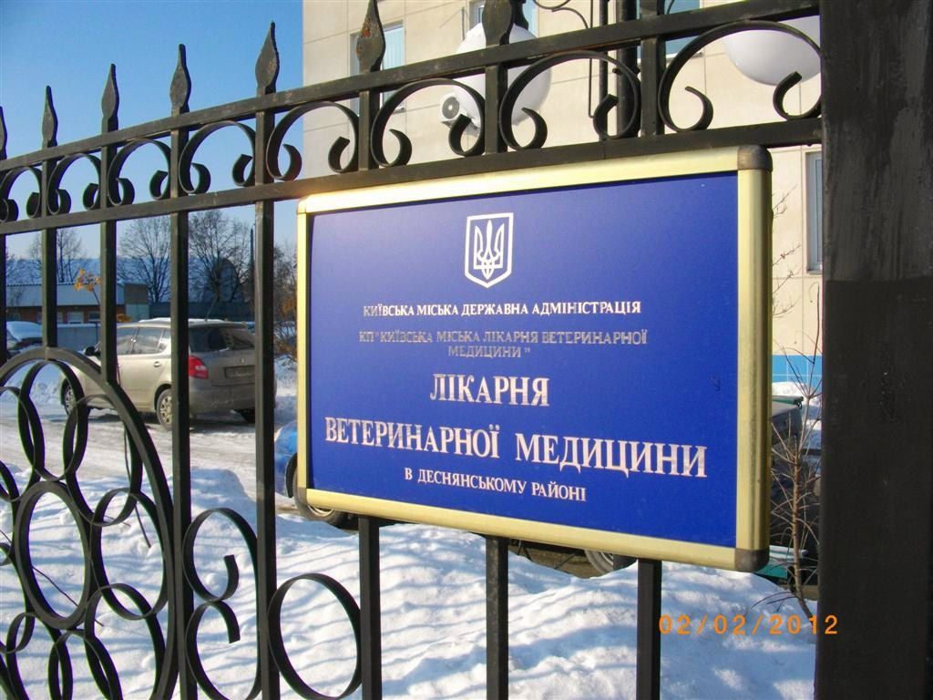 Юрій Завілінський נדב זבולון | Киев