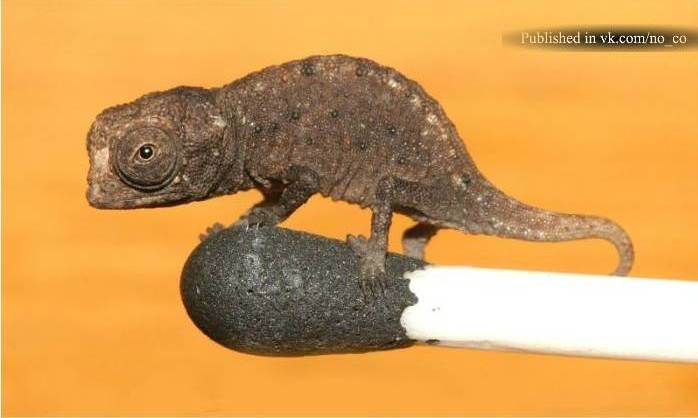 Валентин Русанов | Харьков