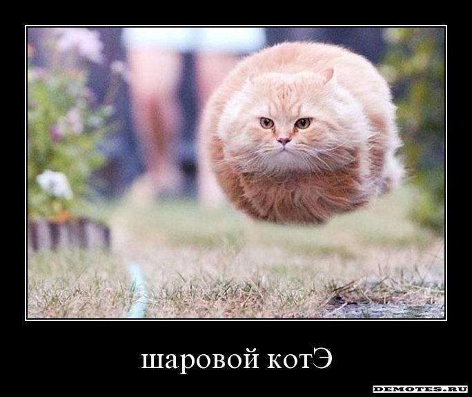 Юлиана Кот | Белореченск