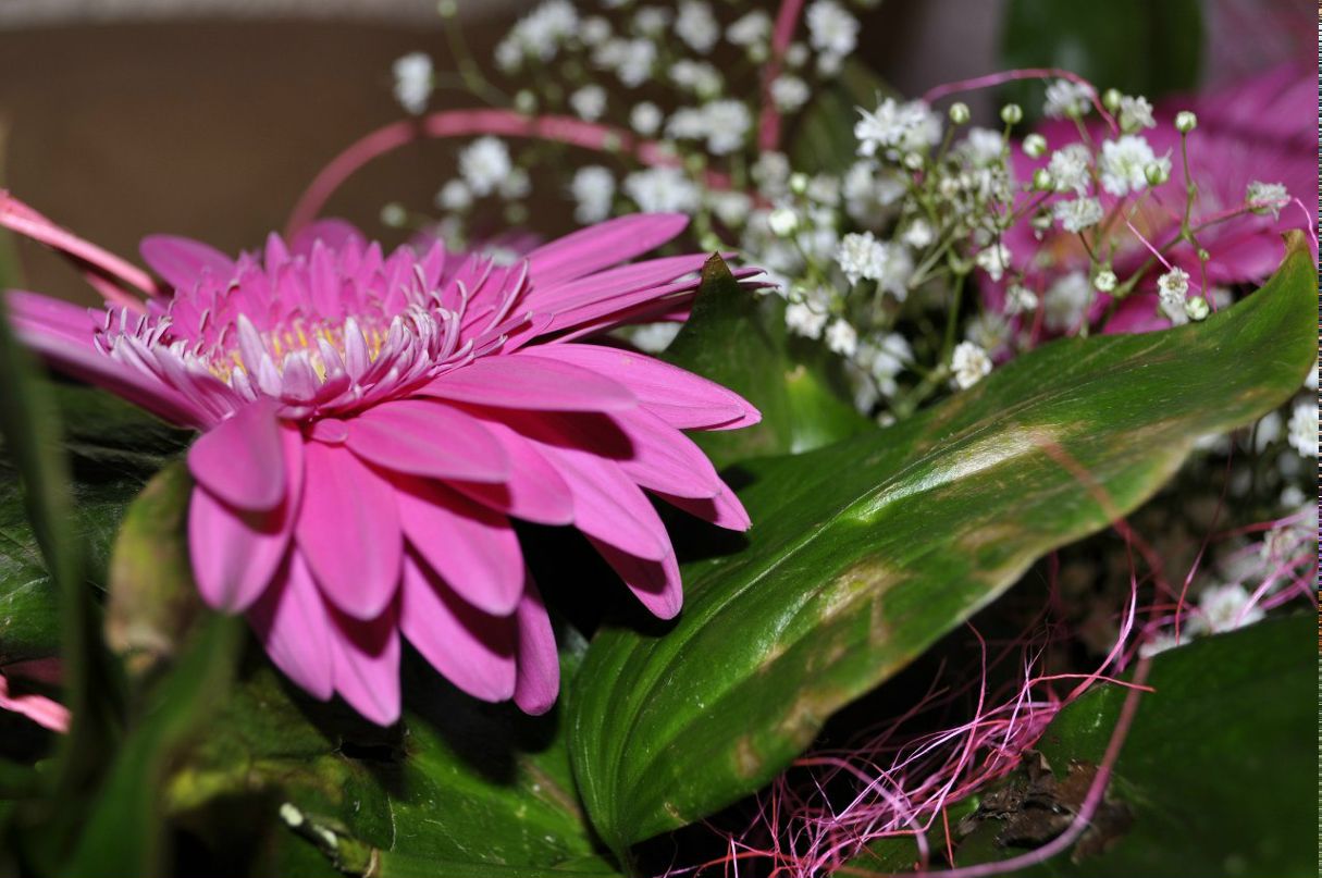 Oksana Kolesnik | Санкт-Петербург